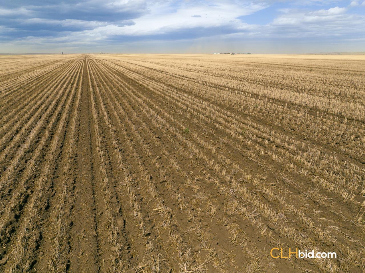 County Line Farm - Blackie, AB | CLHBid.com